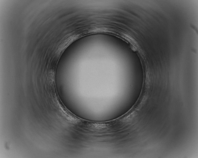 X0000101190849200807110943
