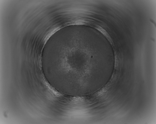 X0000101190850200807110943