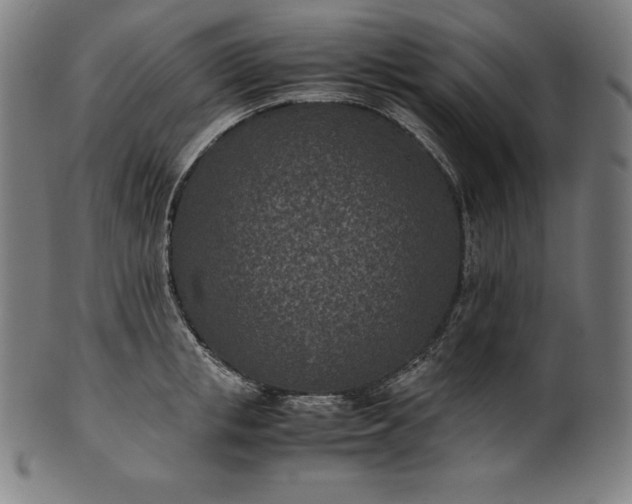 X0000101190853200807110943