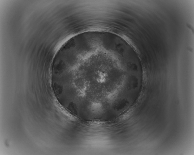 X0000101190854200807110943