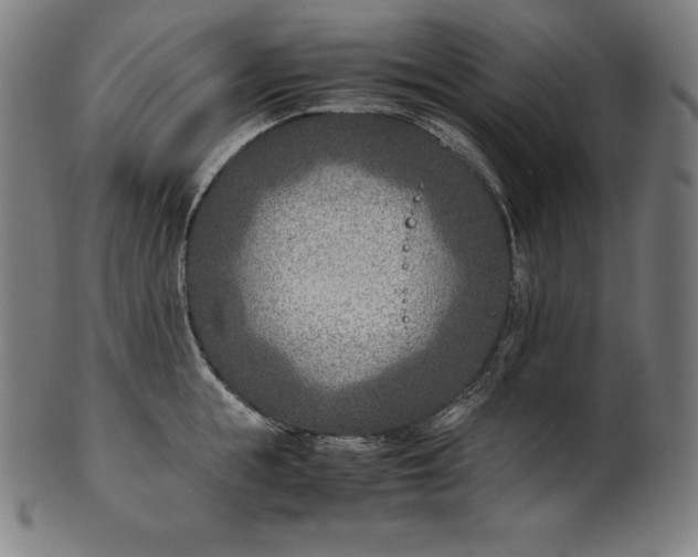 X0000101190855200807110943