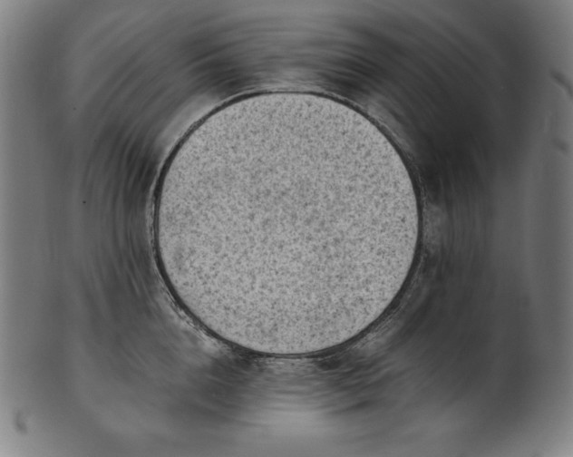 X0000101190856200807110943
