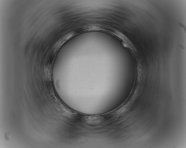 X0000101190857200807110943