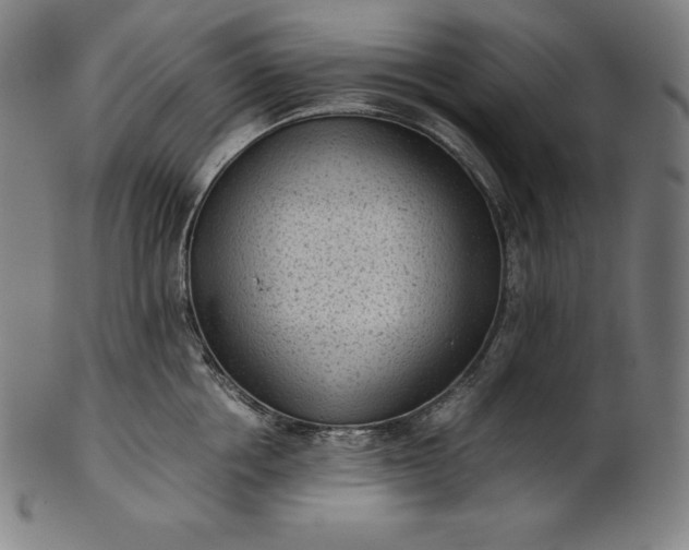 X0000101190858200807110943