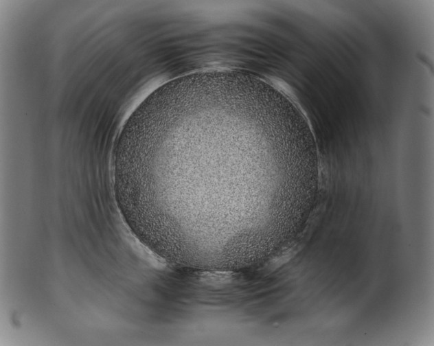 X0000101190859200807110943