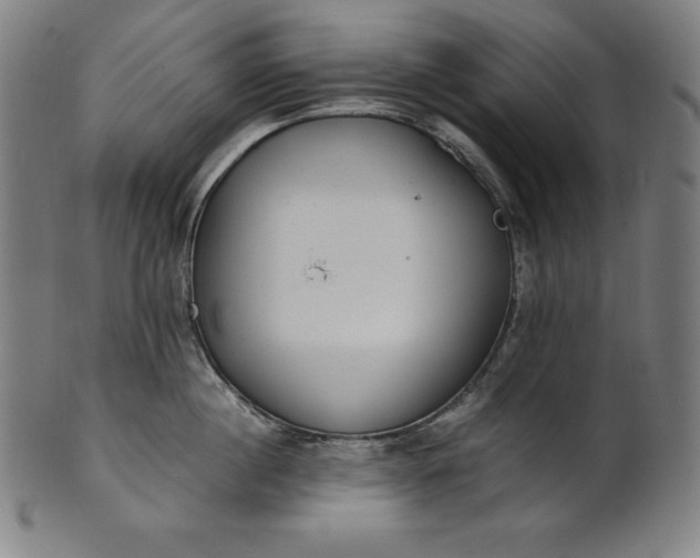 X0000101190860200807110943