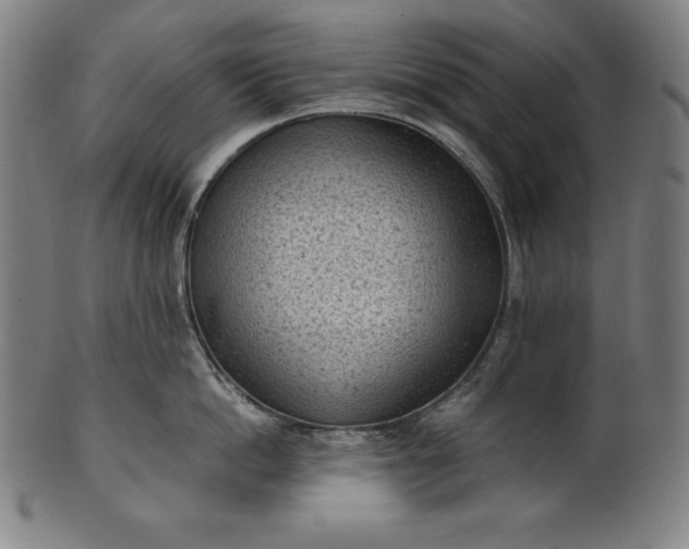 X0000101190862200807110943