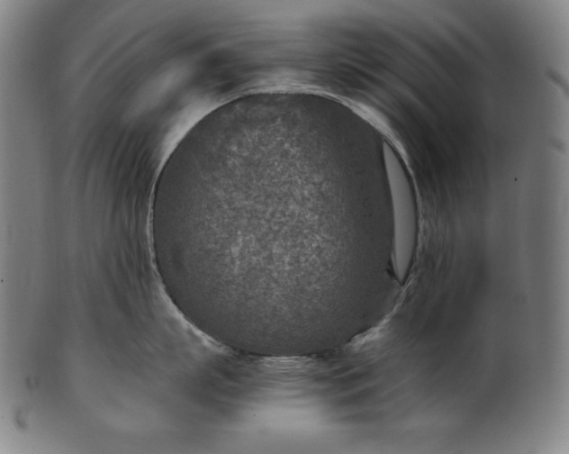 X0000101190863200807110943