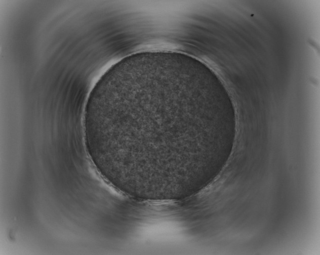 X0000101190864200807110943