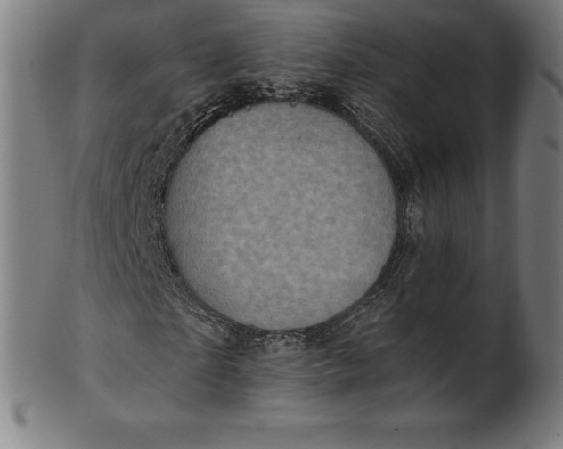 X0000101190865200807110942