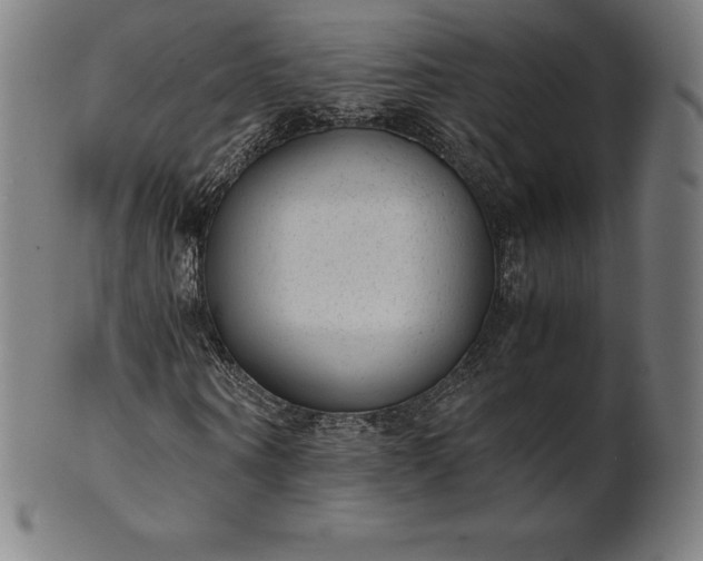 X0000101190866200807110942