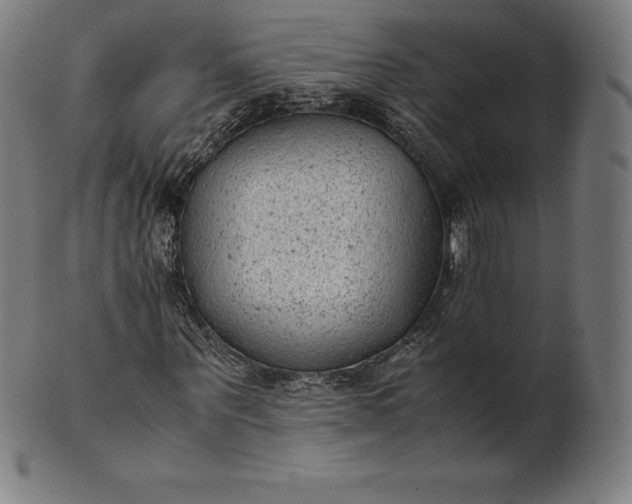 X0000101190867200807110942