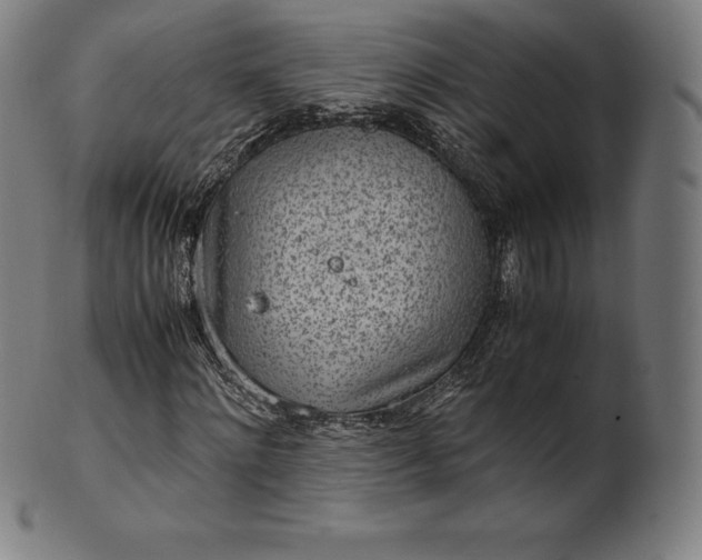X0000101190868200807110942