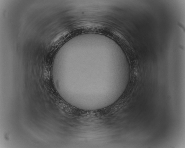 X0000101190869200807110942