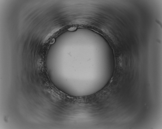 X0000101190872200807110942
