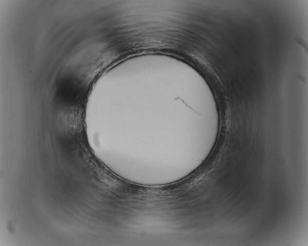 X0000101190873200807110942