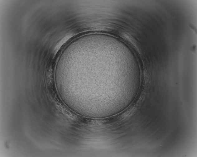 X0000101190875200807110942