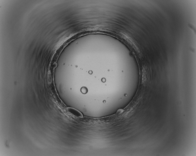 X0000101190876200807110942