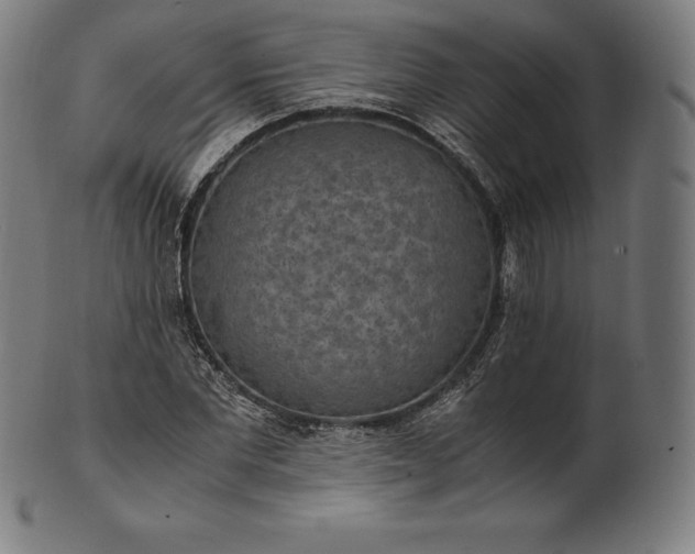 X0000101190877200807110942