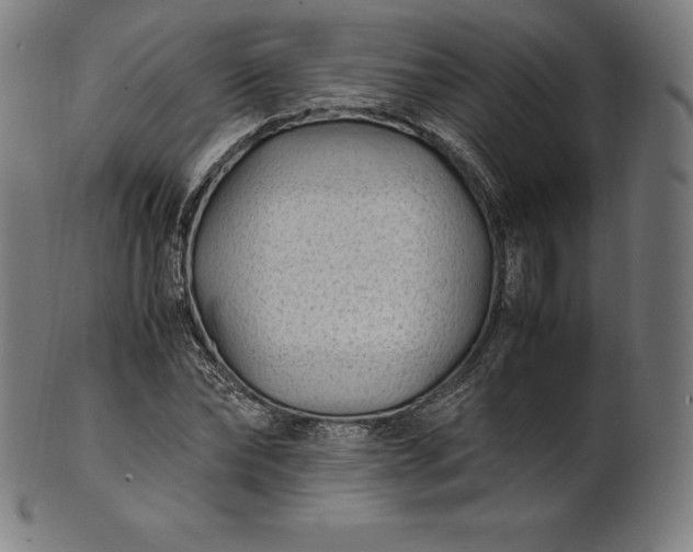 X0000101190878200807110942
