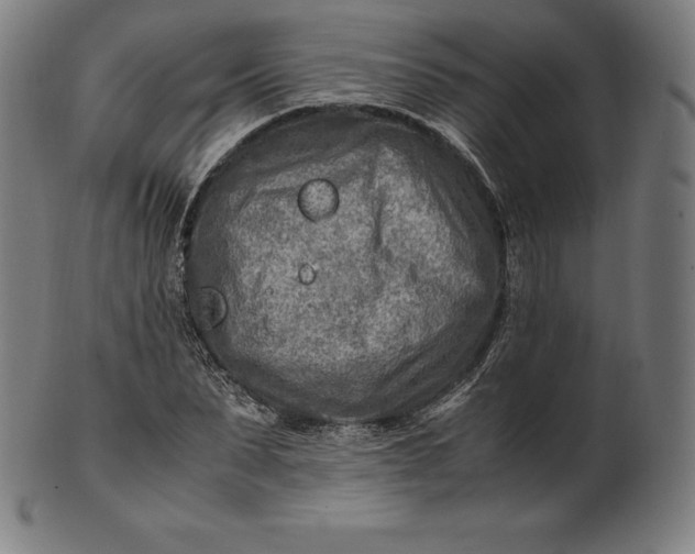 X0000101190879200807110942