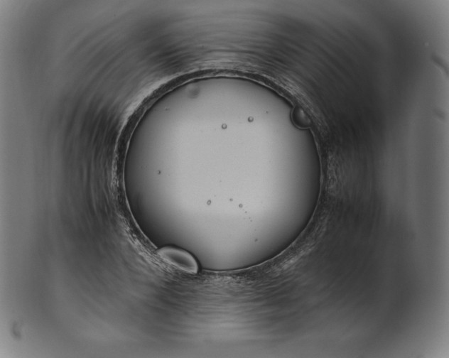 X0000101190880200807110942