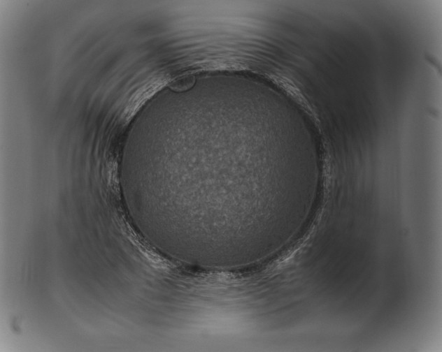 X0000101190881200807110942
