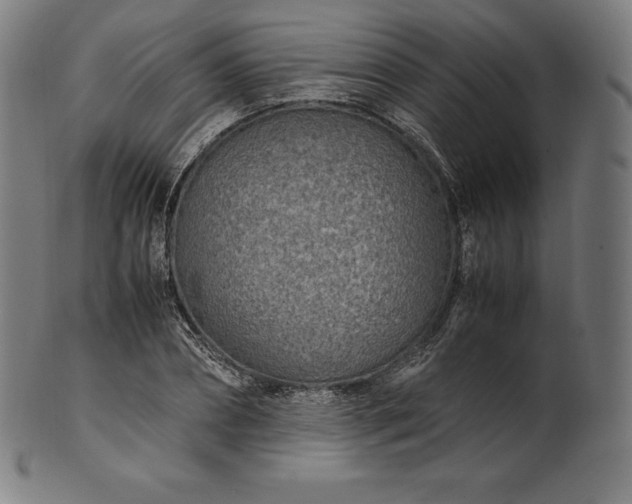 X0000101190882200807110942