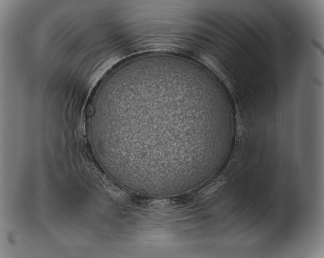 X0000101190883200807110942