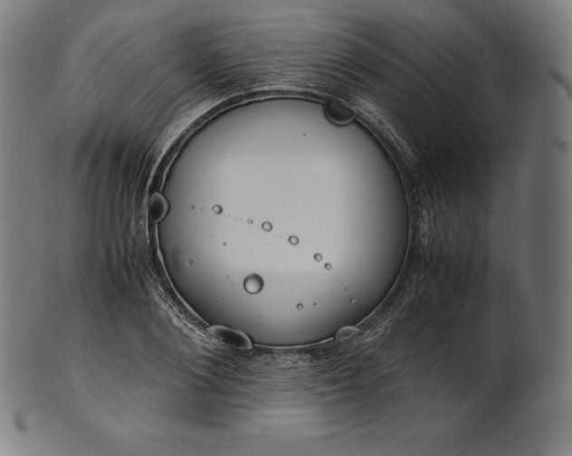 X0000101190884200807110942