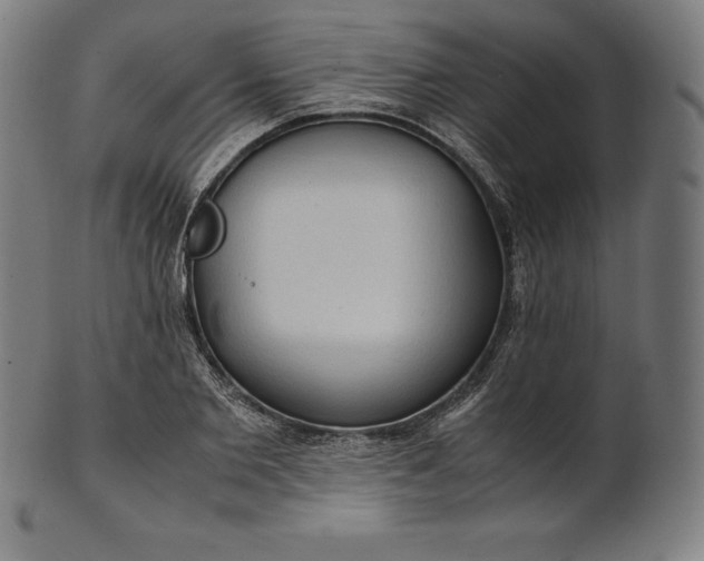 X0000101190885200807110942