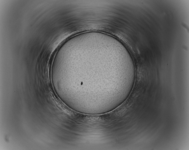 X0000101190886200807110942