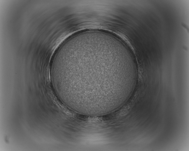 X0000101190887200807110942