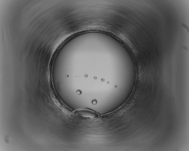 X0000101190888200807110942
