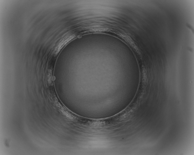 X0000101190889200807110942