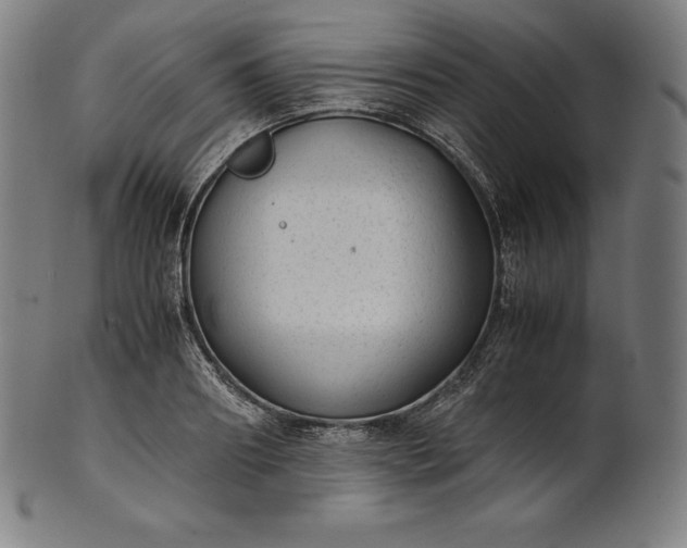 X0000101190890200807110942