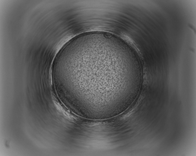 X0000101190892200807110942