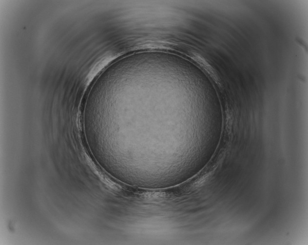 X0000101190893200807110942