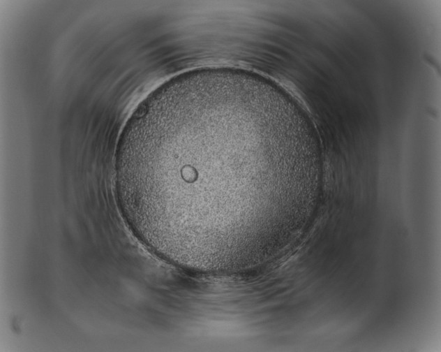 X0000101190895200807110942