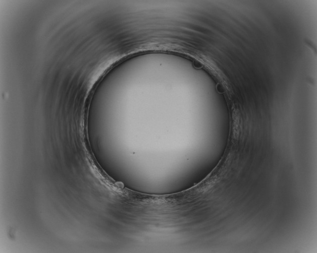 X0000101190896200807110942