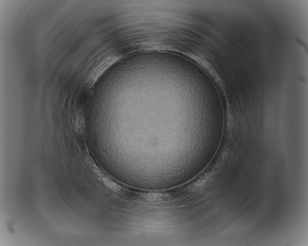 X0000101190897200807110942