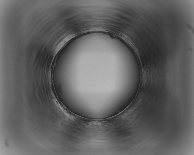 X0000101190898200807110942