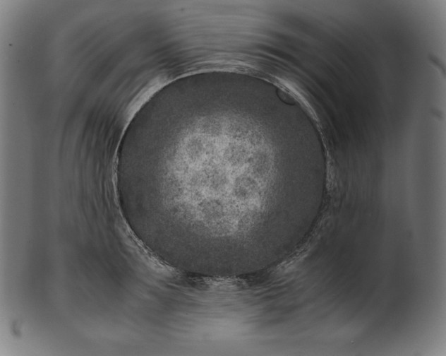 X0000101190899200807110942