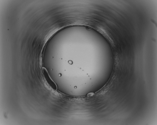 X0000101190900200807110942