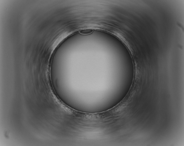 X0000101190901200807110942