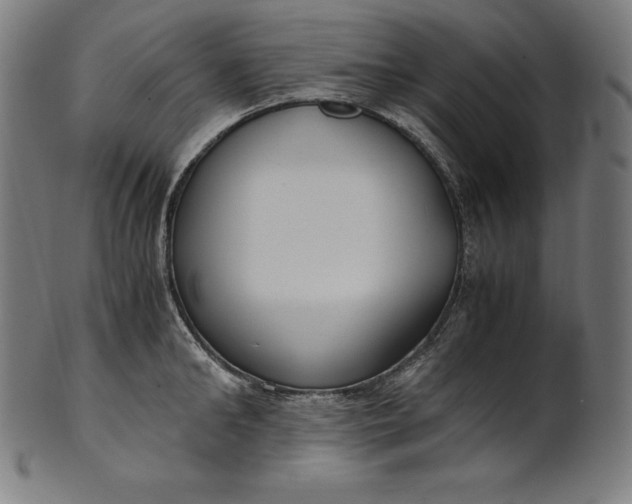 X0000101190902200807110942