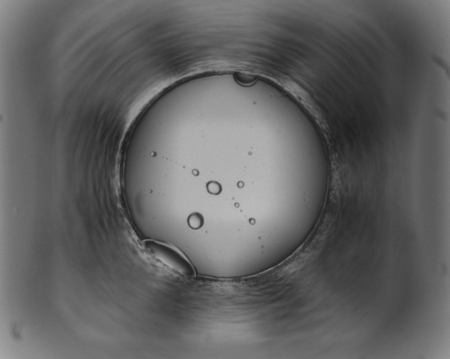 X0000101190904200807110942