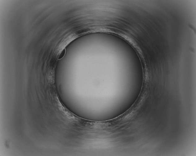 X0000101190905200807110942
