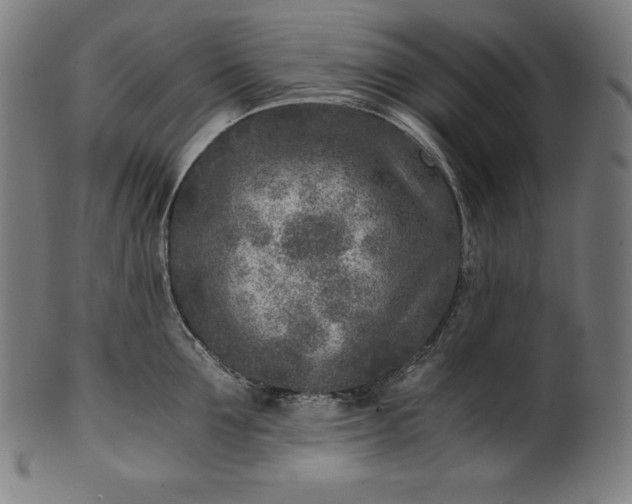 X0000101190907200807110942