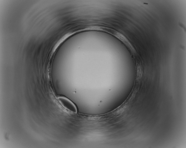 X0000101190908200807110942